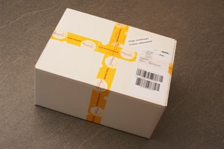 Kühlverpackung für Versand von Käse - Schritt 9